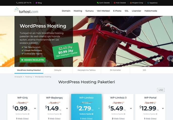 Wordpress hosting türkiye